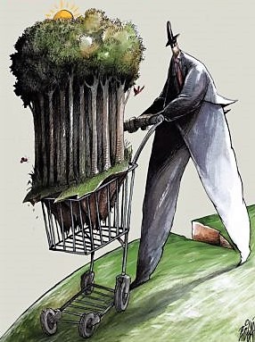 CD_44.5_OFC_400_520_80_c1-1