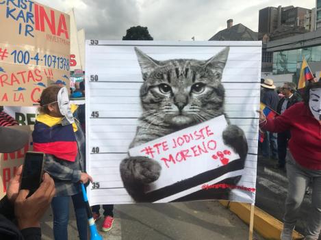 WhatsApp Image 2019-04-16 at 20.37.39