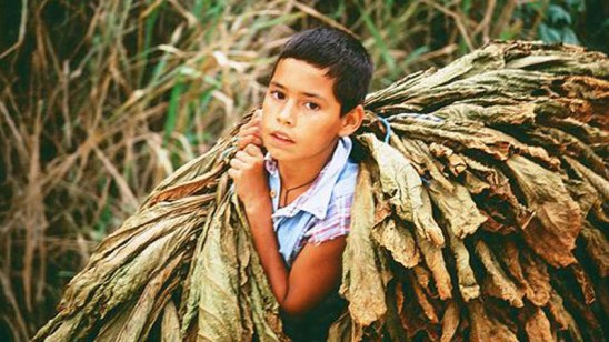 26-de-nov-trabajo-infantil