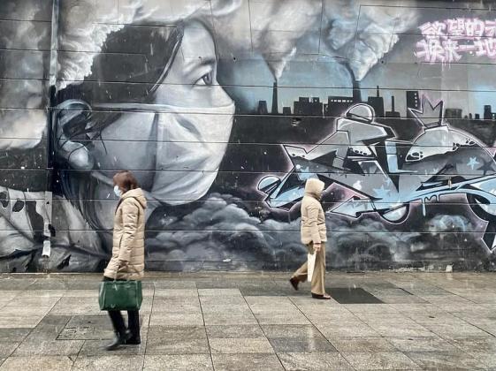 49454055281_ec8e402965_c