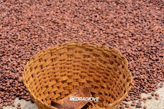 20200507_190950-630x420