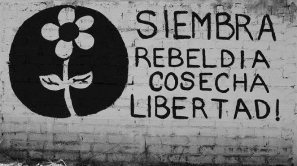 e9b6b24d62a6f1ff93c785edd97b8804_XL