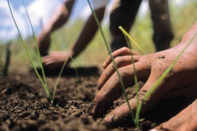 2018-08-10-091107AGRO