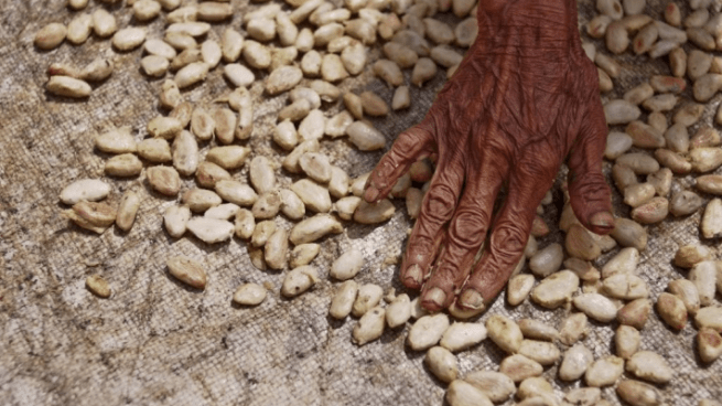 crisisalimentaria000