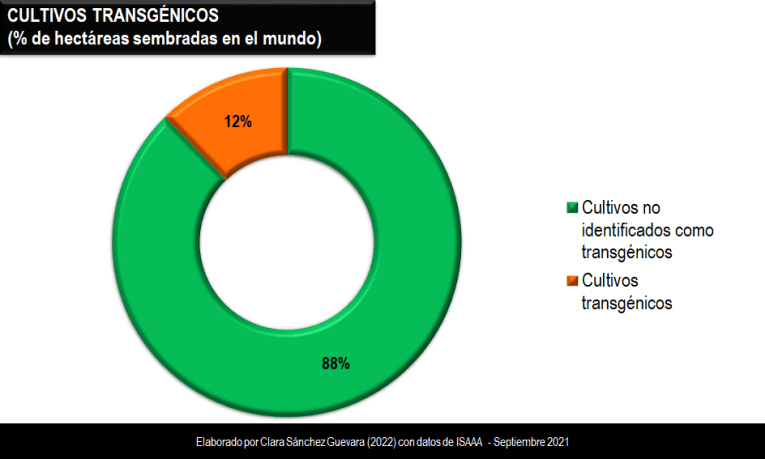 2-cultivos-transgenicos-ha-sembradas-en-el-mundo-alimentosy-poder-clara-sanchez-guevara