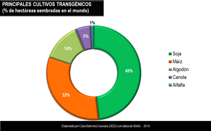 3-principales-cultivos-transgenicos-ha-sembradas-alimentosy-poder-clara-sanchez-guevara