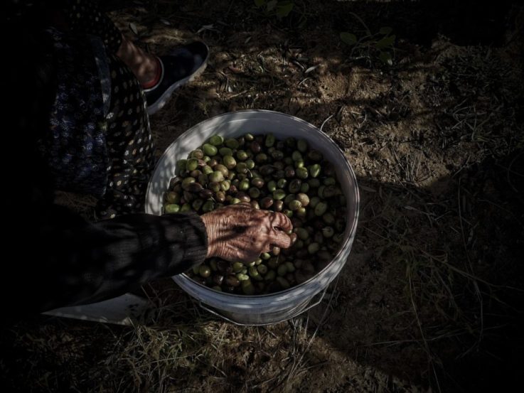 5-Majd-Arandas-1994-2023-My-Grandmother-2022-e1710452601694