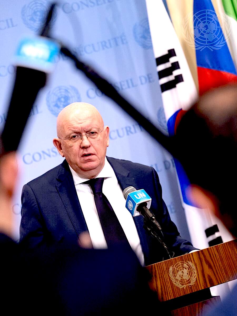 Permanent Representative of Russian Federation Briefs Press
